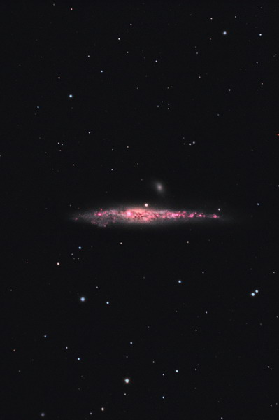 Galassia Balena (NGC4631)